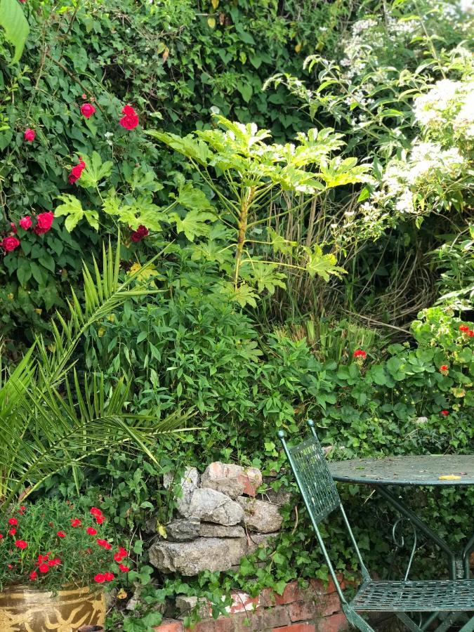 1920'S House. Private En Suite Sitting Room . Dog Friendly Teignmouth Ngoại thất bức ảnh